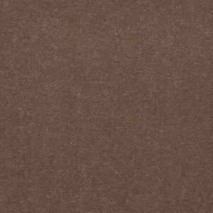Philadelphia Commercial Carpet Emphatic Ii 36 Koala 56741_54256