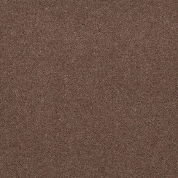 Philadelphia Commercial Carpet Emphatic Ii 36 Koala 56741_54256