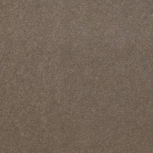 Philadelphia Commercial Carpet Emphatic Ii 36 Smokey 56742_54256
