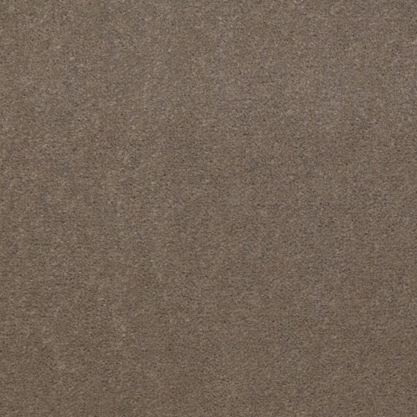 Philadelphia Commercial Carpet Emphatic Ii 36 Smokey 56742_54256
