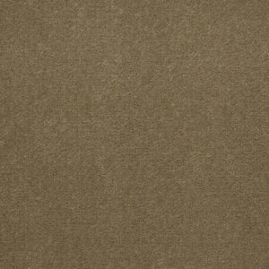 Philadelphia Commercial Carpet Emphatic Ii 36 Olive Twist 56755_54256