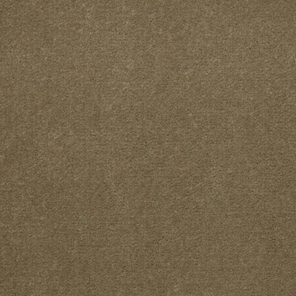 Philadelphia Commercial Carpet Emphatic Ii 36 Olive Twist 56755_54256
