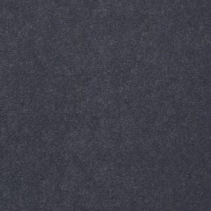 Philadelphia Commercial Carpet Emphatic Ii 36 Stone Wall 56904_54256