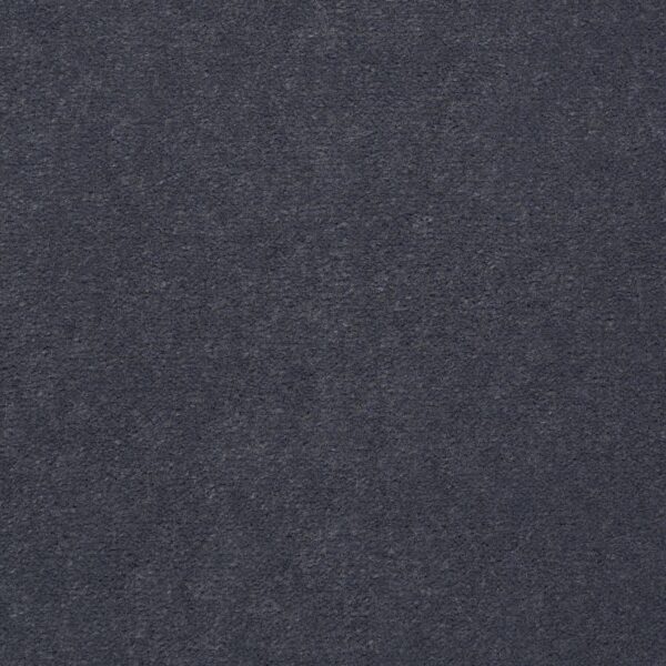 Philadelphia Commercial Carpet Emphatic Ii 36 Stone Wall 56904_54256