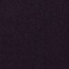Philadelphia Commercial Carpet Emphatic Ii 36 Amethyst 56940_54256