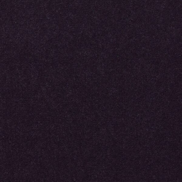 Philadelphia Commercial Carpet Emphatic Ii 36 Amethyst 56940_54256