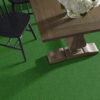 Philadelphia Commercial Carpet TACTIC (S) Pasture 00300_54622 - Image 2