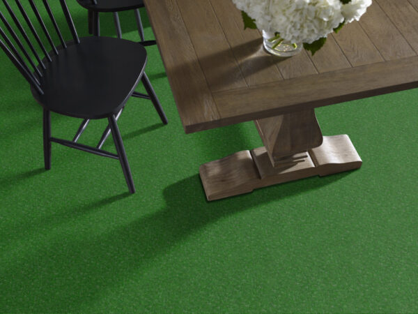 Philadelphia Commercial Carpet TACTIC (S) Pasture 00300_54622 - Image 2