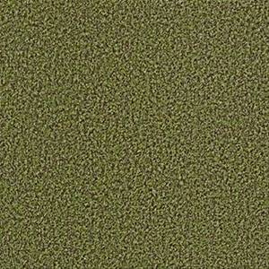 Philadelphia Commercial Carpet ARBOR VIEW (T) Mossy Bark 00310_54625