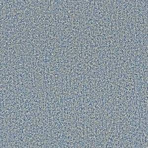 Philadelphia Commercial Carpet ARBOR VIEW (T) Stillwater 00410_54625