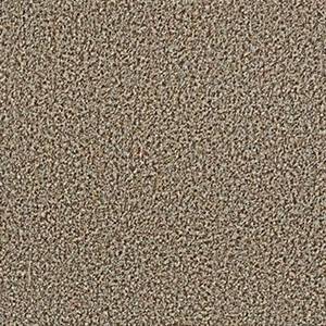 Philadelphia Commercial Carpet ARBOR VIEW (T) Brown Sugar 00710_54625