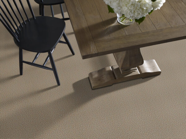 Philadelphia Commercial Carpet ARBOR VIEW (T) Brown Sugar 00710_54625 - Image 2