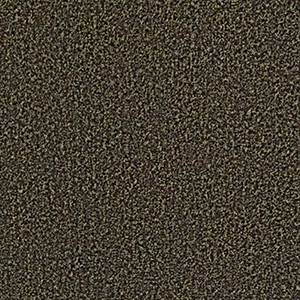 Philadelphia Commercial Carpet ARBOR VIEW (T) Walnut Shell 00711_54625