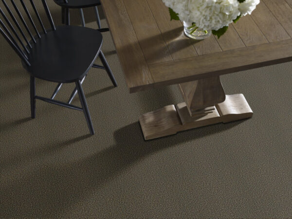 Philadelphia Commercial Carpet ARBOR VIEW (T) Walnut Shell 00711_54625 - Image 2
