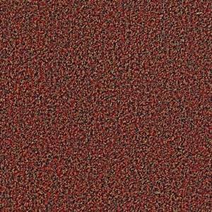 Philadelphia Commercial Carpet ARBOR VIEW (T) China Berry 00810_54625