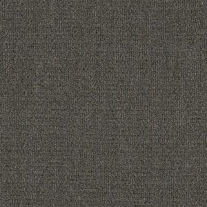 Philadelphia Commercial Carpet GARDENSCAPE (T) Granite Dust 00500_54629