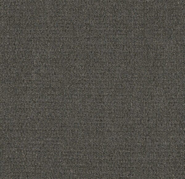 Philadelphia Commercial Carpet GARDENSCAPE (T) Granite Dust 00500_54629