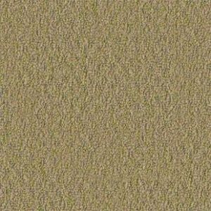 Philadelphia Commercial Carpet GARDENSCAPE (T) Wheat Grass 00700_54629