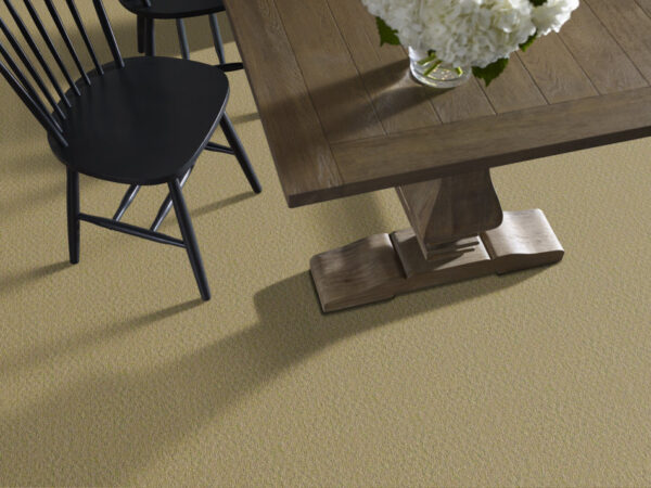 Philadelphia Commercial Carpet GARDENSCAPE (T) Wheat Grass 00700_54629 - Image 2