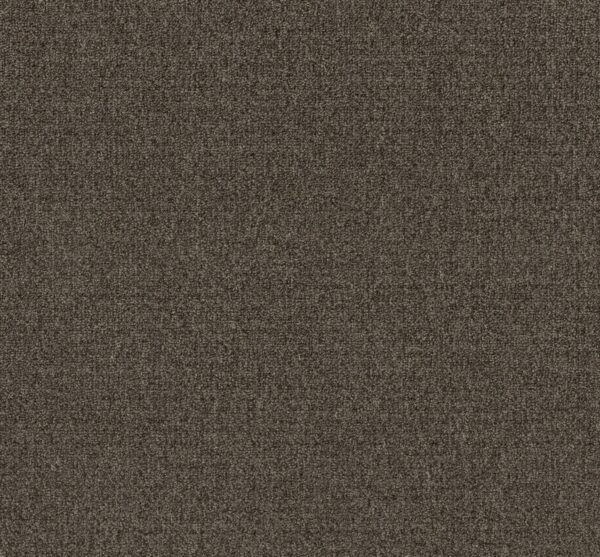 Philadelphia Commercial Carpet GARDENSCAPE (T) Burnt Bark 00701_54629