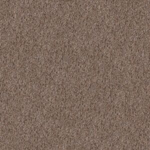 Philadelphia Commercial Carpet CABANA (T) Sandstone 00110_54631