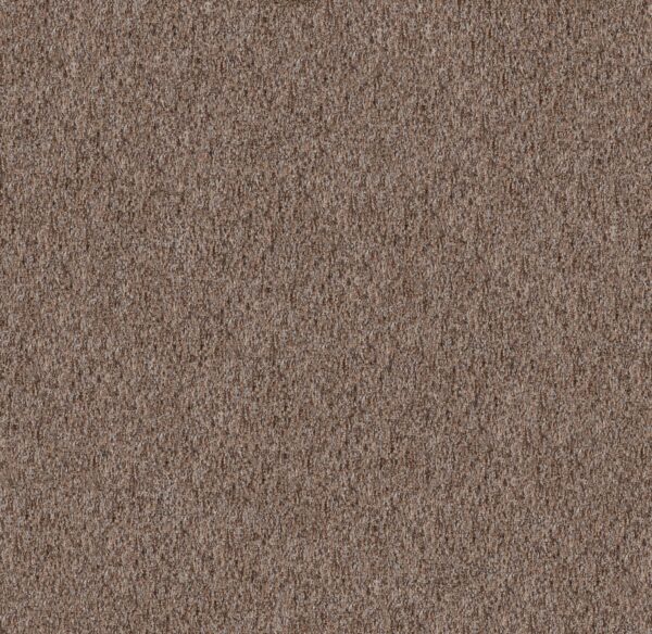 Philadelphia Commercial Carpet CABANA (T) Sandstone 00110_54631