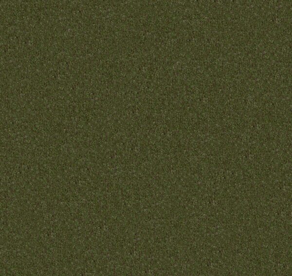 Philadelphia Commercial Carpet CABANA (T) Trail Mix 00311_54631