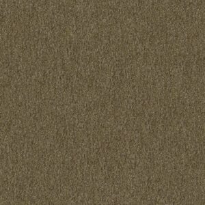 Philadelphia Commercial Carpet CABANA (T) Mossy Bark 00312_54631