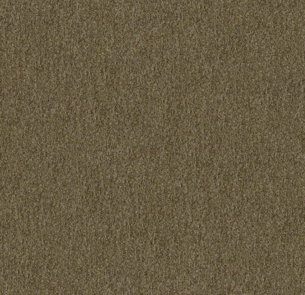 Philadelphia Commercial Carpet CABANA (T) Mossy Bark 00312_54631