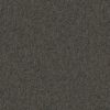 Philadelphia Commercial Carpet CABANA (T) Mineral Gray 00510_54631