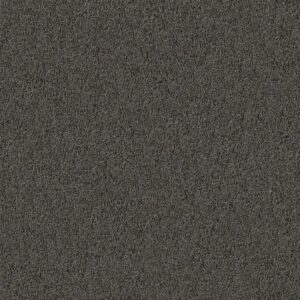 Philadelphia Commercial Carpet CABANA (T) Mineral Gray 00510_54631