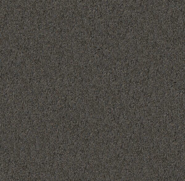 Philadelphia Commercial Carpet CABANA (T) Mineral Gray 00510_54631