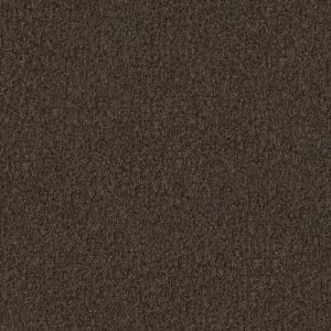 Philadelphia Commercial Carpet CABANA (T) Good Earth 00711_54631