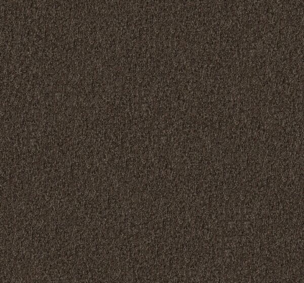 Philadelphia Commercial Carpet CABANA (T) Good Earth 00711_54631