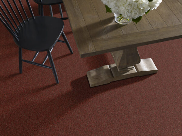 Philadelphia Commercial Carpet CABANA (T) Crushed Brick 00810_54631 - Image 2