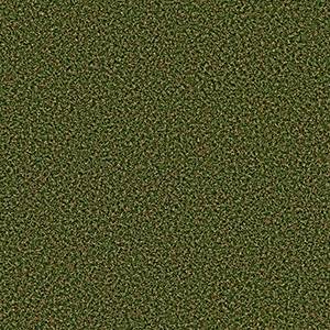 Philadelphia Commercial Carpet PARK CENTRAL Sea Grass 00310_54635