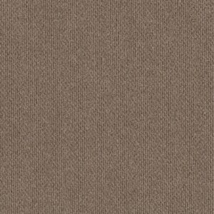 Philadelphia Commercial Carpet NATURAL PATH Macrame 00100_54636