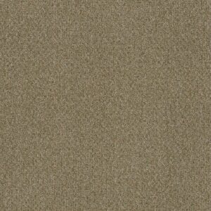 Philadelphia Commercial Carpet NATURAL PATH Seedling 00300_54636