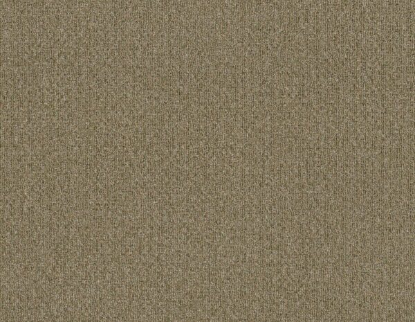Philadelphia Commercial Carpet NATURAL PATH Seedling 00300_54636