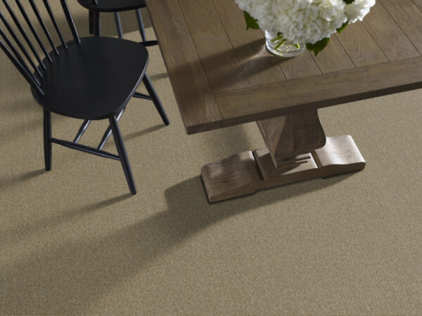 Philadelphia Commercial Carpet NATURAL PATH Seedling 00300_54636 - Image 2