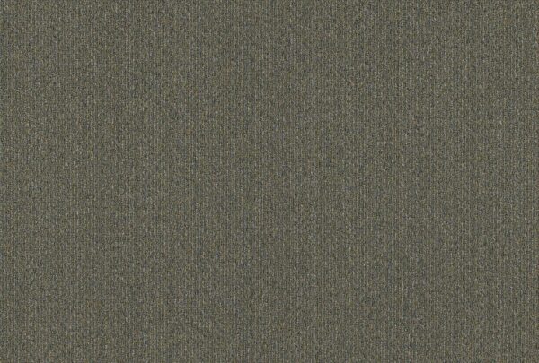 Philadelphia Commercial Carpet NATURAL PATH Riverview 00400_54636