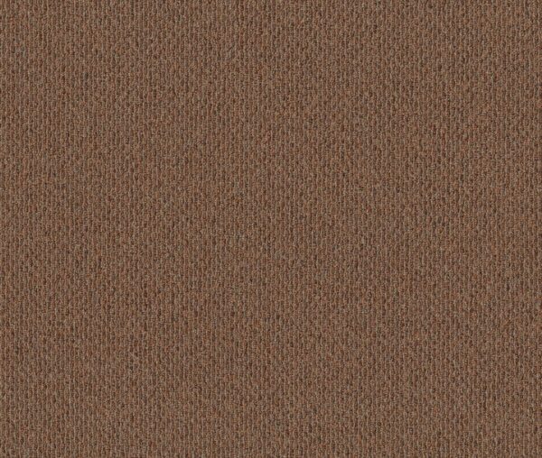 Philadelphia Commercial Carpet NATURAL PATH Sundown 00600_54636