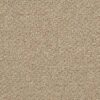Philadelphia Commercial Carpet NATURAL PATH Tree House 00700_54636