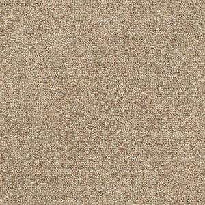 Philadelphia Commercial Carpet NATURAL PATH Tree House 00700_54636