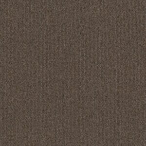 Philadelphia Commercial Carpet NATURAL PATH Mineralite 00701_54636