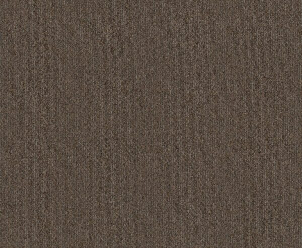 Philadelphia Commercial Carpet NATURAL PATH Mineralite 00701_54636