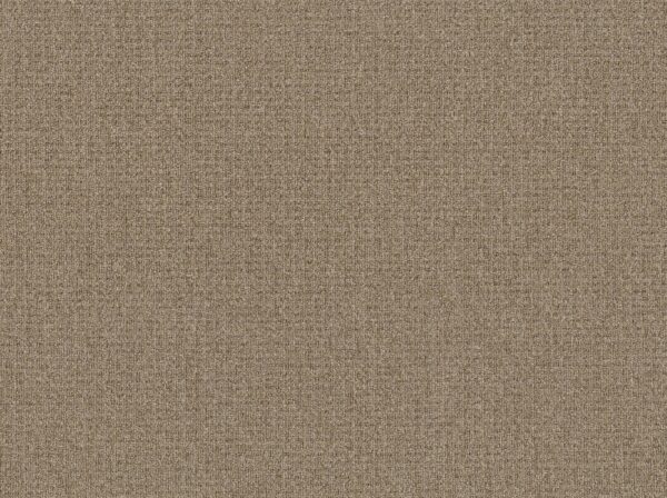 Philadelphia Commercial Carpet CASUAL BOUCLE Weathered Teak 00100_54637