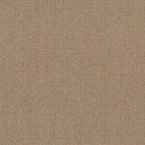 Philadelphia Commercial Carpet CASUAL BOUCLE Straw Weave 00200_54637