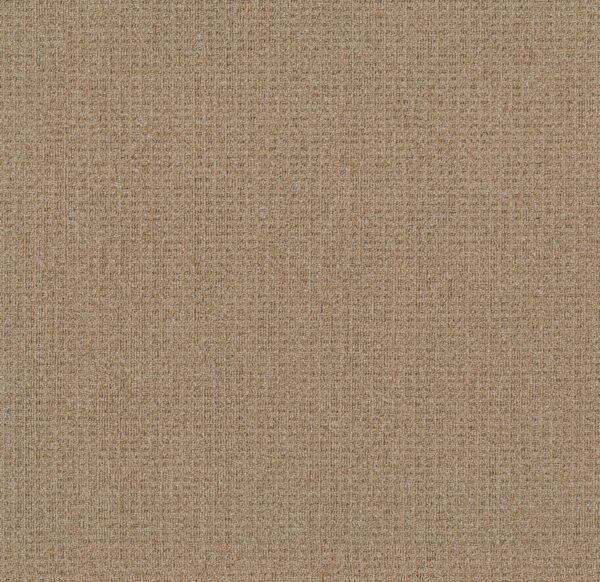 Philadelphia Commercial Carpet CASUAL BOUCLE Straw Weave 00200_54637
