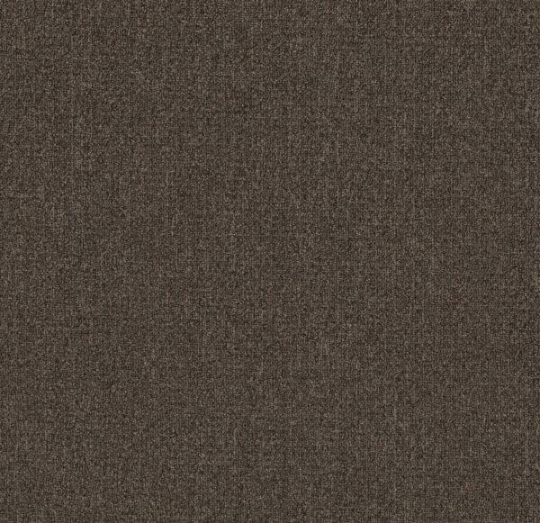 Philadelphia Commercial Carpet CASUAL BOUCLE Flagstone 00701_54637